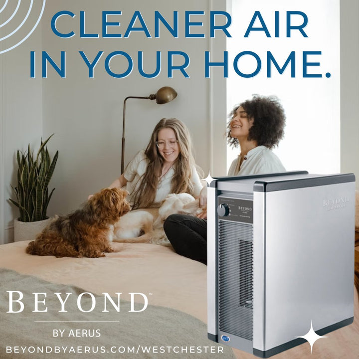 Beyond Guardian Air - Aerus Electrolux Vacuum and Air Purifier